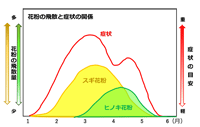 ヒノキ花粉飛散ピーク