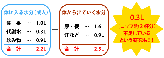 一日の水分収支